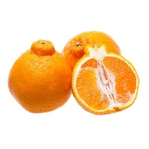 https://assetsmn.s3.us-east-1.amazonaws.com/assets/ofertas-ecommerce/42451.webp