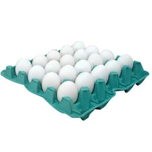 https://assetsmn.s3.us-east-1.amazonaws.com/assets/ofertas-ecommerce/839600.webp